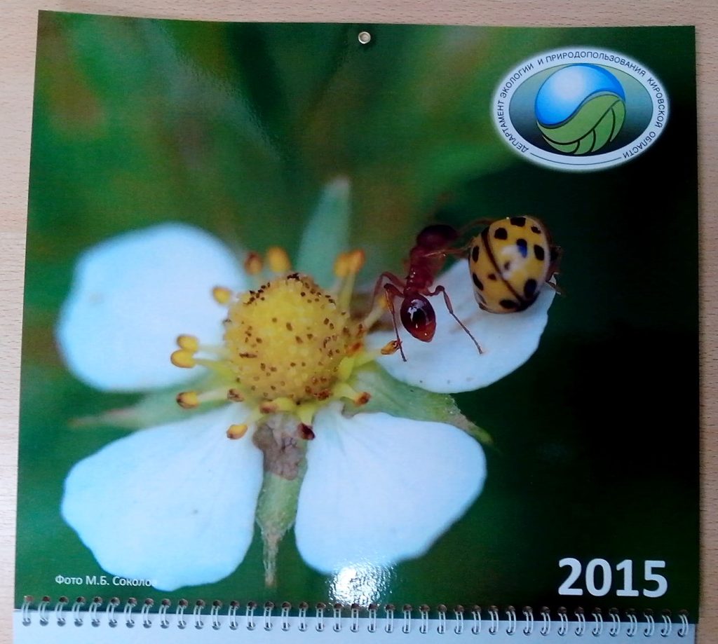 Настенный перекидной календарь-2015 с муравьём и божьей коровкой на цветке земляники