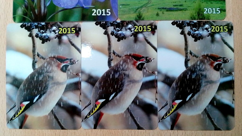 Карманные календарики-2015 со свиристелем, собачьей фиалкой и долиной у скалы Часовой,