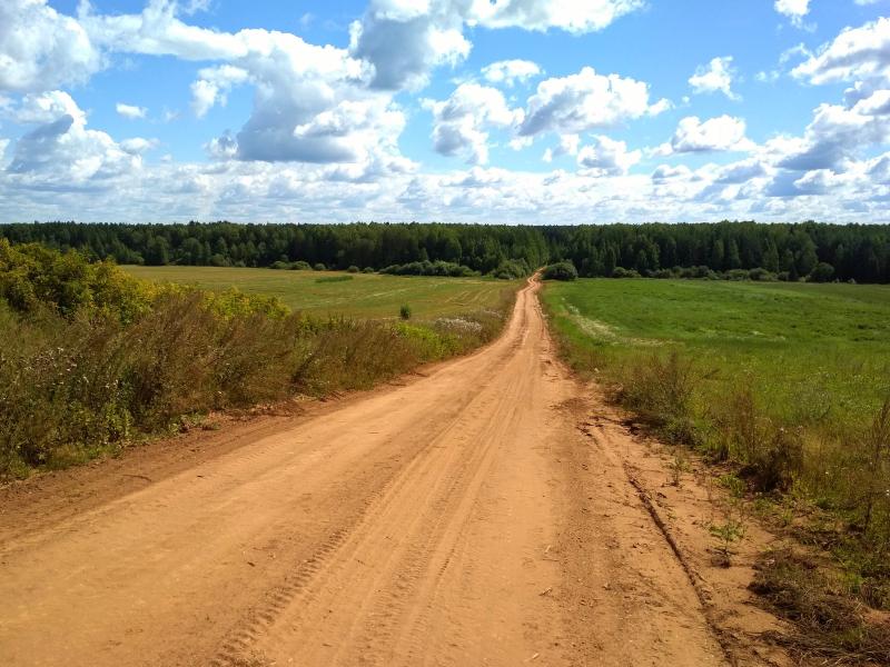 Полевая дорога сбегает с холма в лес