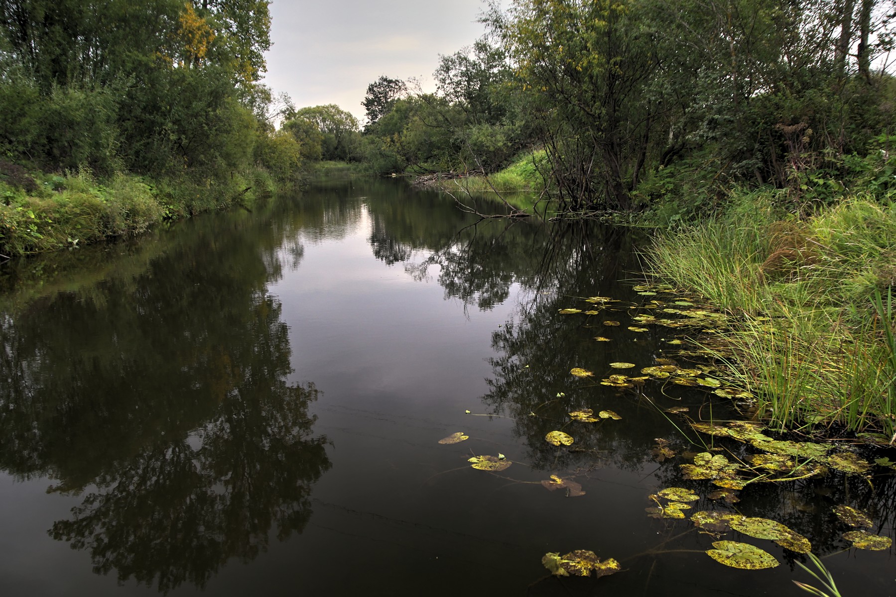 Чёрная вода Чёрная вода