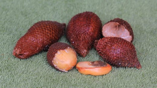 салак (змеиный фрукт, Salacca zalacca): очищенные от оболочки плоды и косточка внутри